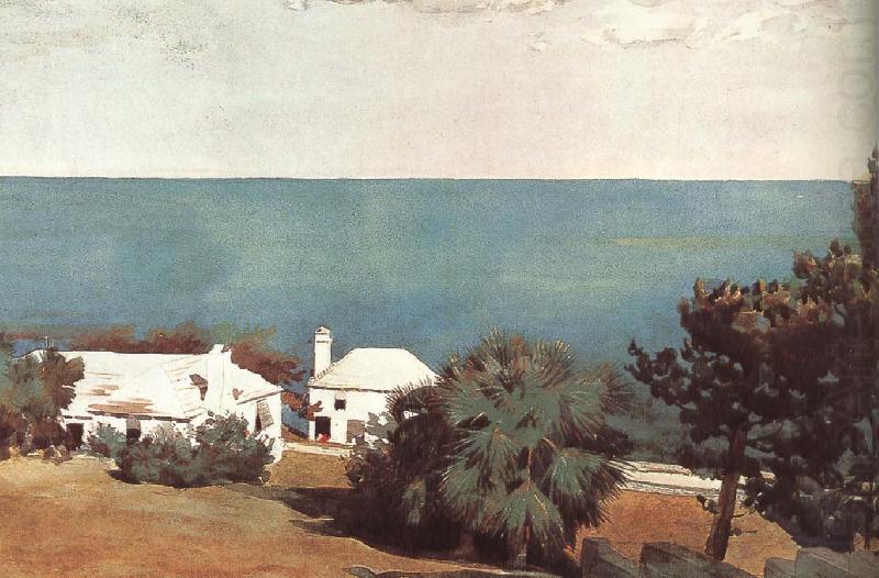 Winslow Homer Bermuda beach china oil painting image